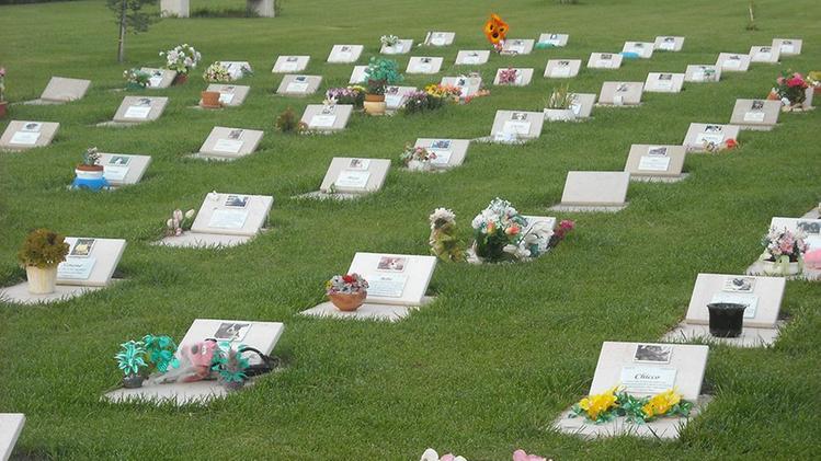 Sicilia, proposto disegno di legge per istituire i cimiteri per gli animali d’affezione