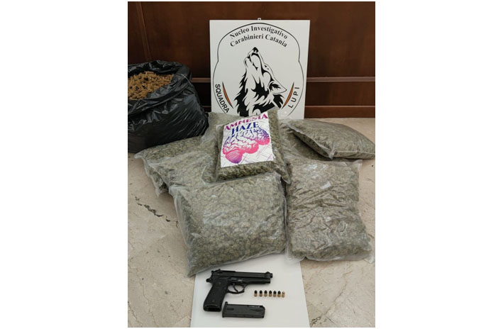 Arrestato un 25enne trovato con una pistola e con 13,5 kg di marijuana a casa