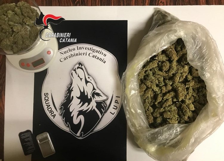 Voleva diventare un broker della droga: arrestato sul nascere