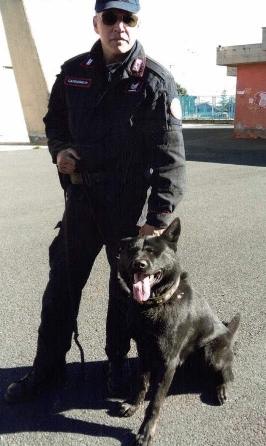 Carabinieri Cinofili in lutto per la scomparsa del cane “Don”