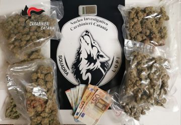 Ordinazioni on-line e consegna veloce della droga