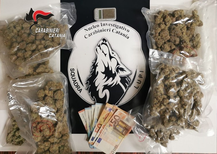 Ordinazioni on-line e consegna veloce della droga