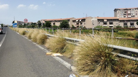 Interventi scerbamento Asse Attrezzato, da domani al via i lavori