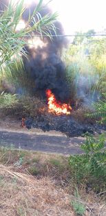 Giarre, ancora un incendio nel torrente Macchia. Intervento dei Vvff