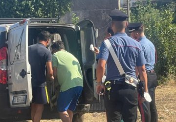 Riposto, blitz di carabinieri e polizia locale in un canile lager VIDEO
