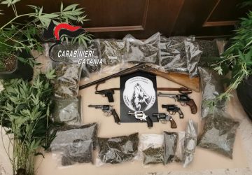 Scoperta serra indoor con centinaia di piante ed un arsenale a San Cristoforo: arrestato 40enne