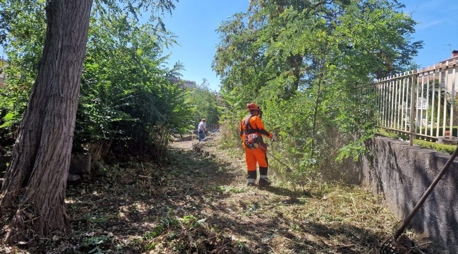 Giarre, carenza di giardinieri: il Comune si rivolge ad Adecco