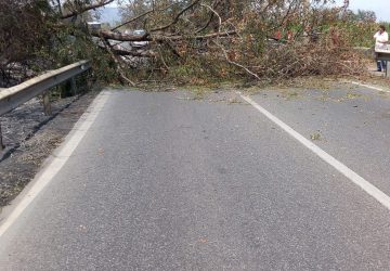 Mascali, Ss114: precipita albero e colpisce auto in transito
