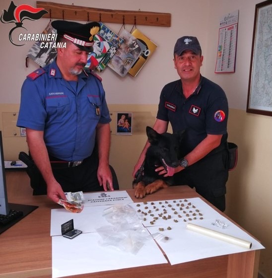Zafferana Etnea, arrestati  due fratelli pusher con l&rsquo;ausilio del cane dei Cinofili &ldquo;Riley