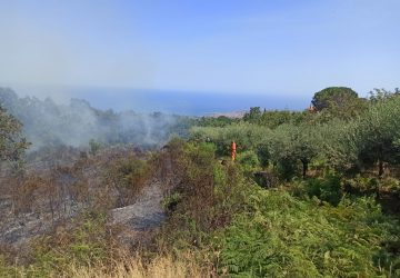 Montargano minacciato da vasto rogo