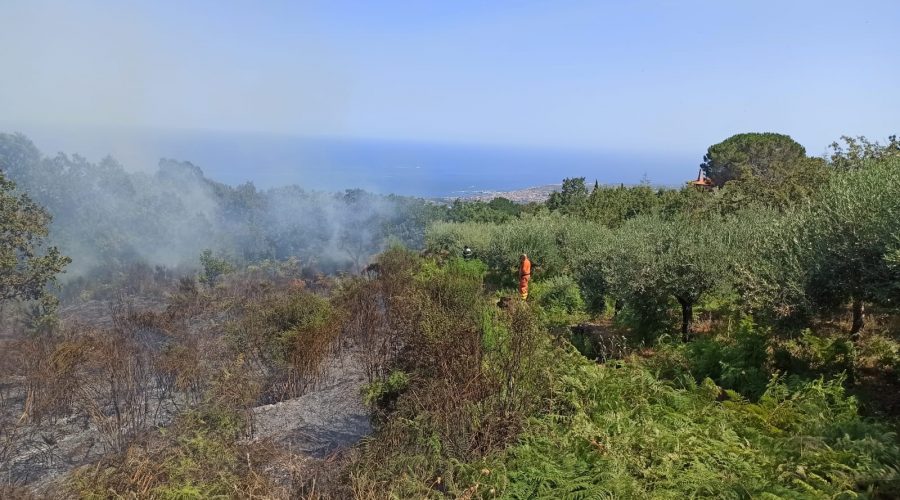 Montargano minacciato da vasto rogo