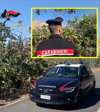 Tentano di rubare 50 chilogrammi di pistacchio: 4 denunciati dai Carabinieri