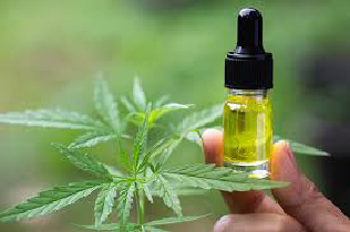 Olio di cannabis: una soluzione naturale per il benessere emotivo e la gestione dello stress