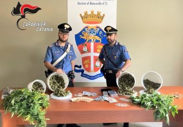 Lo spaccio era un affare di famiglia: arrestati due fratelli