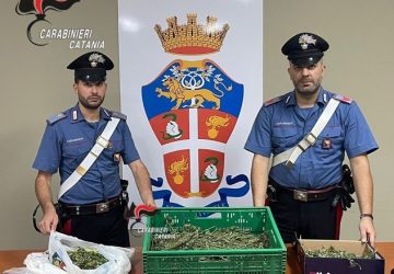 Nascondeva la marijuana su un terrazzo: arrestato