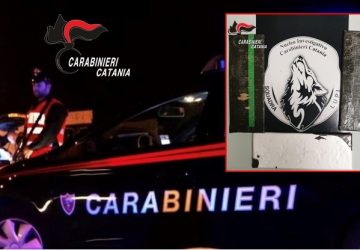 Inseguito e arrestato dai &ldquo;Lupi, viaggiava con 1 kilo di cocaina.