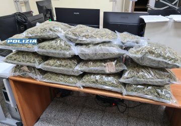 Donna arrestata dalla Polizia: in casa 13 chili di marijuana