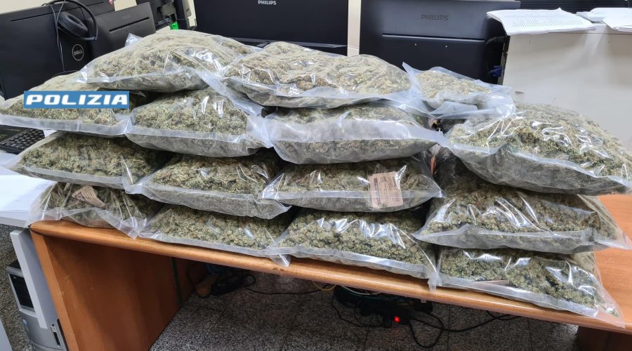 Donna arrestata dalla Polizia: in casa 13 chili di marijuana