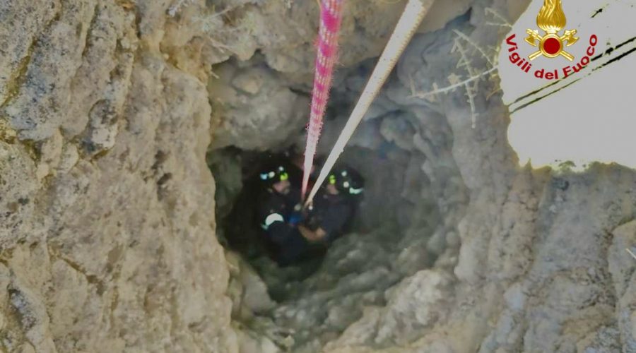 I Vigili del Fuoco salvano due cani caduti dentro un pozzo