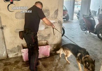 Carabinieri a San Cristoforo: lotta all&rsquo;illegalit&agrave; diffusa e allo spaccio di stupefacenti