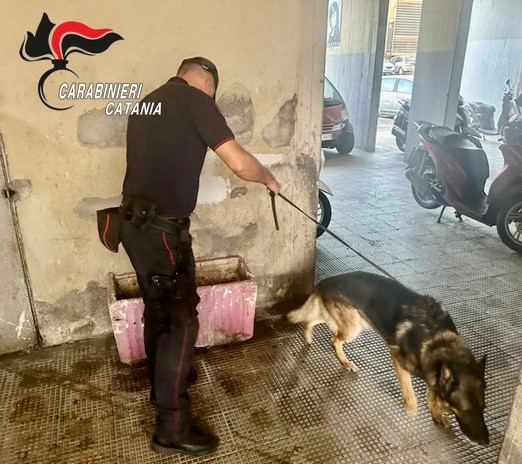 Carabinieri a San Cristoforo: lotta all’illegalità diffusa e allo spaccio di stupefacenti