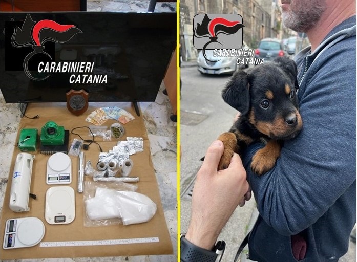 Arrestati dai Carabinieri 4 spacciatori, trincerati nello stesso fortino della droga di San Cristoforo