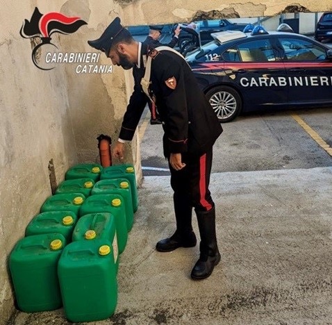 Concima a costo zero il proprio uliveto: denunciato per ricettazione dai Carabinieri