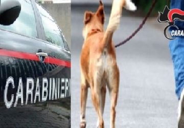 Con la scusa di portare il cane per i bisogni, evade dai domiciliari. 39enne arrestato a Giardini Naxos