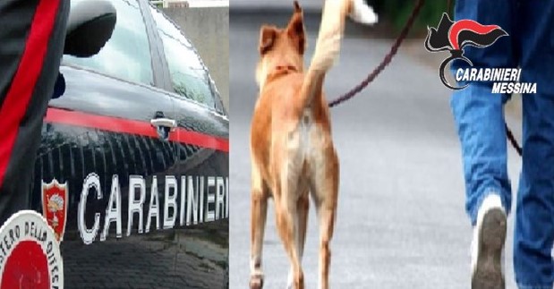 Con la scusa di portare il cane per i bisogni, evade dai domiciliari. 39enne arrestato a Giardini Naxos