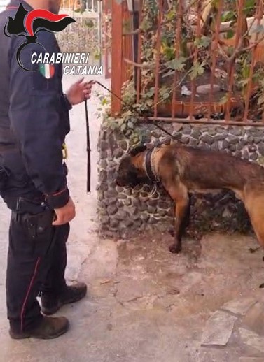 Controlli straordinari dei Carabinieri nei pressi delle scuole; arrestato un pusher