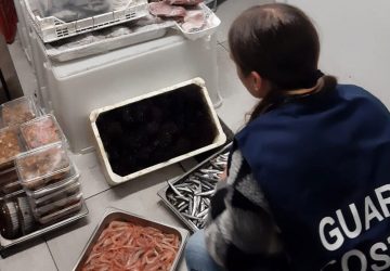 Guardia costiera, sequestrati oltre 500 chili di pesce non tracciato