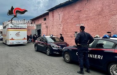 Carabinieri a caccia di stalle abusive: 4 cavalli sequestrati e affidati ad un maneggio