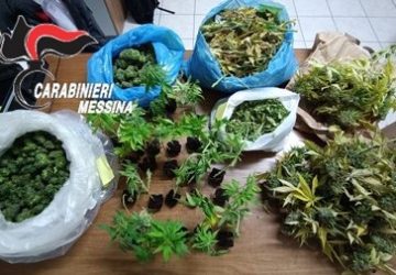 Una serra "fai da te" per la coltivazione di cannabis con 27 piante e 5 chili di marijuana