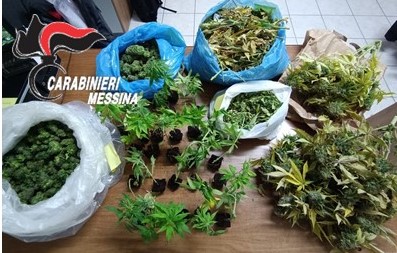Una serra “fai da te” per la coltivazione di cannabis con 27 piante e 5 chili di marijuana