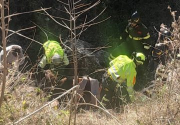 Bovino cade in un dirupo: recuperato con l'elicottero VF Drago VIDEO