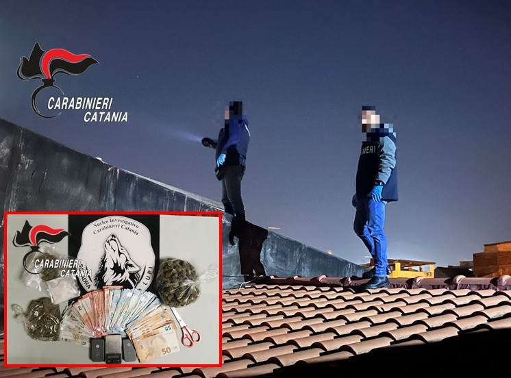 Operazione dei Cc (Lupi): smantellata una piazza di spaccio e arrestati 6 pusher