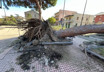 Il vento sradica alberi e insegne. Pesanti i danni a Giarre e Riposto VIDEO