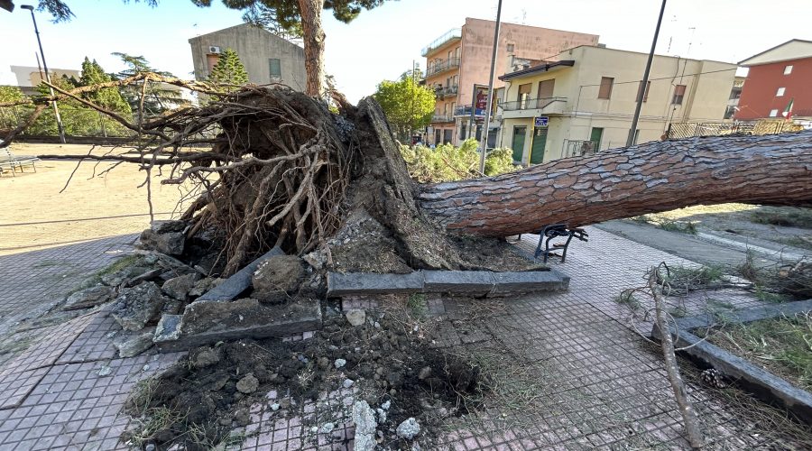 Il vento sradica alberi e insegne. Pesanti i danni a Giarre e Riposto VIDEO