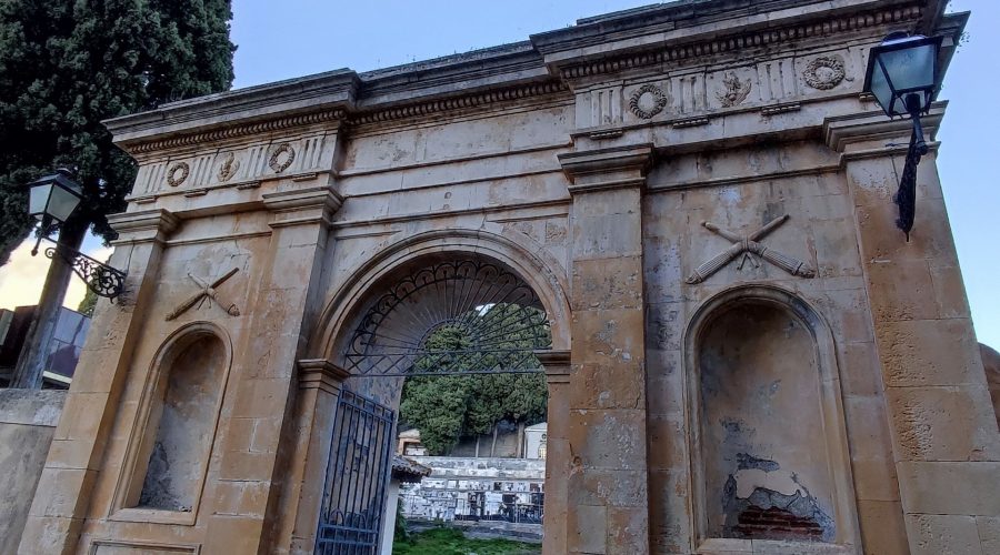 Francavilla, abbattuto il vetusto pino che si ergeva nel cimitero