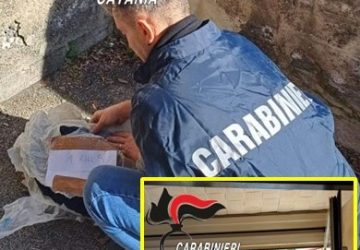 Nascondeva in casa oltre 300 grammi di marijuana: arrestata 30enne