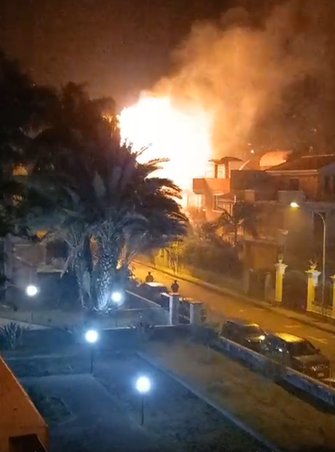 Giarre, a fuoco tre palme in via Pertini