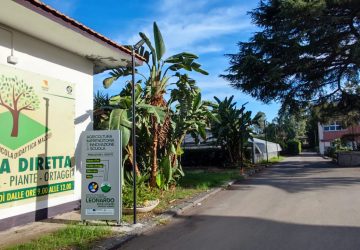 L&rsquo;IIS Leonardo agraria sede Mazzei di Giarre presenta il percorso quadriennale in agraria, agroalimentare e agroindustria