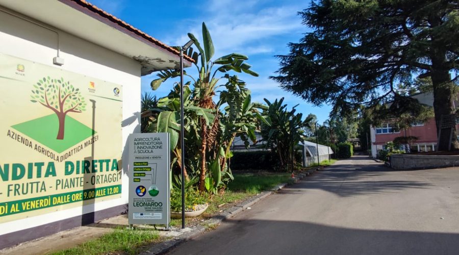 L’IIS Leonardo agraria sede Mazzei di Giarre presenta il percorso quadriennale in agraria, agroalimentare e agroindustria