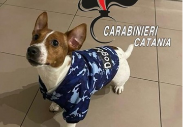 Cane rischia di soffocare, i Carabinieri gli salvano la vita