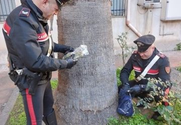 Controlli dei Carabinieri contro lo spaccio, sequestrati 230 grammi di marijuana