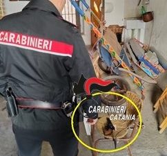 Armi e droga in garage: denunciato un 23enne