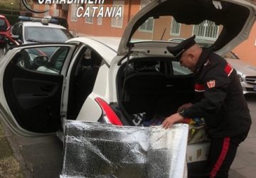 Topi d&rsquo;auto al "lavoro" beccati dai carabinieri: 3 denunce