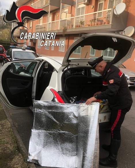 Topi d’auto al “lavoro” beccati dai carabinieri: 3 denunce