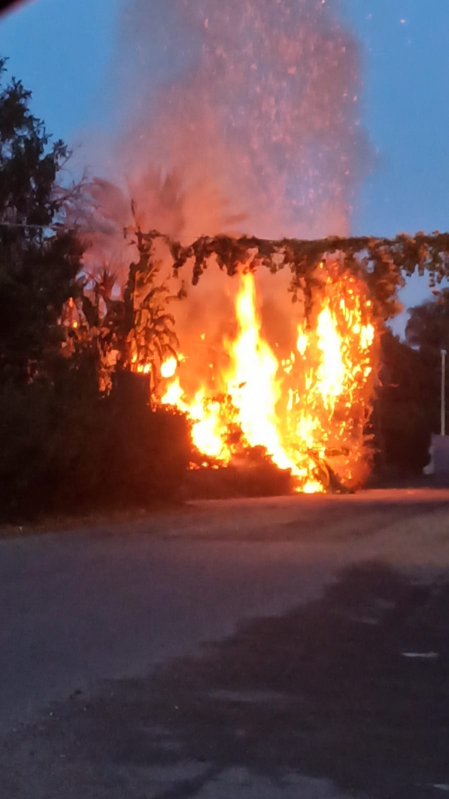 Mascali, divampa incendio in un terreno privato. Chiuso un tratto del viale Immacolata