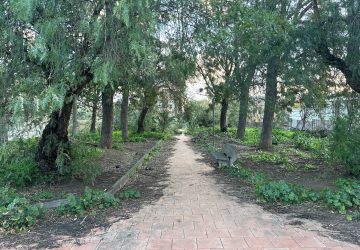 Giarre, aree a verde in grave sofferenza e con futuro da decifrare